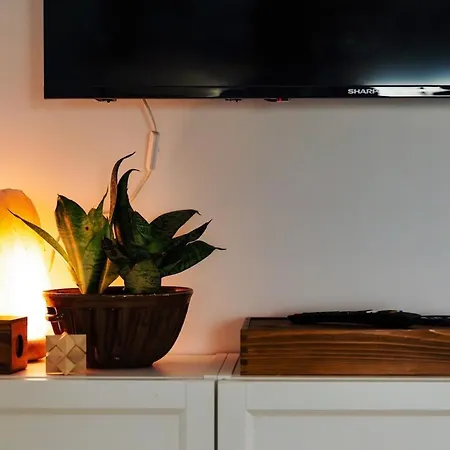 Cosy Flat In The Center Cracovie