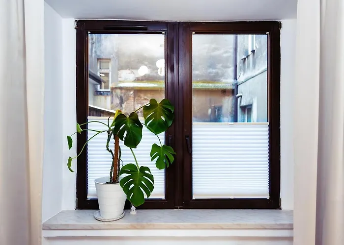 Cosy Flat In The Center Apartamento Cracóvia